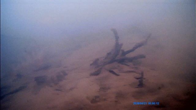 В Микро-Речке полно Рыбы! Последний лёд на Безмотылку. Рыбалка и ловля в марте смотреть онлайн