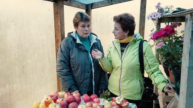 Почему груша не плодоносит