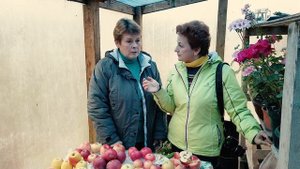 Почему груша не плодоносит