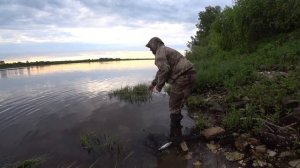 Чехонь на резинку