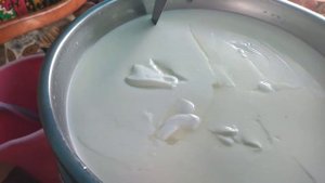 Учусь варить сыр. Сыроварня Тремасов.