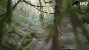 Рейк #5 Рейк в одном из лесов США