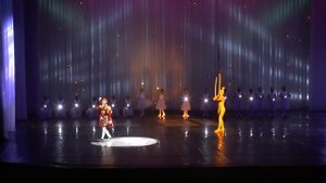 Маленький принц (сл. Н.Добронравова, муз. М.Таривердиева, исп. Туркин Гриша 9 лет) - 20.02.2015