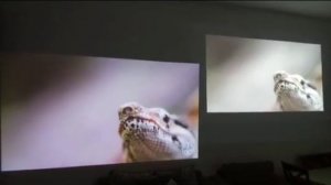 DLP "LED Source"    VS    3LCD projector