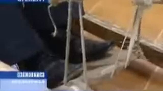 "Национальная деревня" в Оренбурге смотреть онлайн