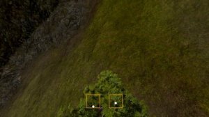 39. Flight Training - Tree proximity diving