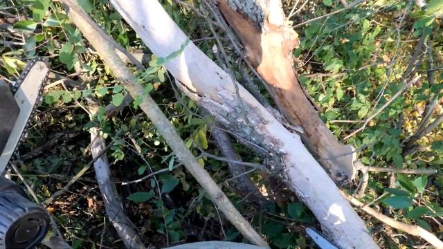 Купил новую аккумуляторную мини пилу, сравнение с WOSAI. Заготовка дров.