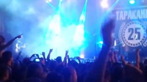 Тараканы 25 Большие яйца