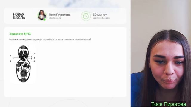 Разбор 1 варианта из сборника Рохлова  Тестовая часть  ЕГЭ по биологии 2024