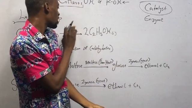 Alkanols - Classes, Preparations, Properties & Uses смотреть онлайн