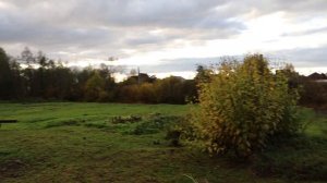 Отопление для дачи - Конвектор NOBO Nordic