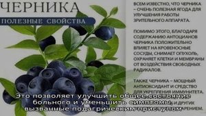 Можно ли есть арбуз при подагре