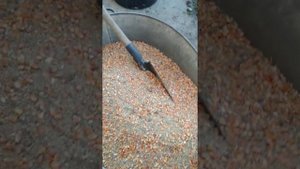 корм для бройлеров своими руками