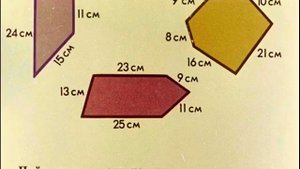 Периметр многоугольника. Ломаная. Отрезок