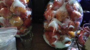 Помидоры под капроновой крышкой.