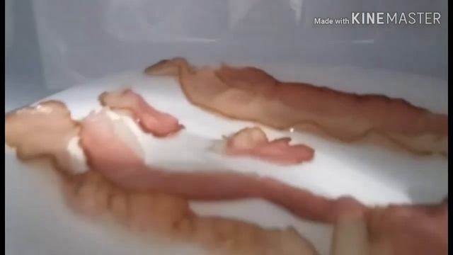 КАК ПРИГОТОВИТЬ БЕКОН В МИКРОВОЛНОВКЕ? смотреть онлайн