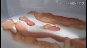 КАК ПРИГОТОВИТЬ БЕКОН В МИКРОВОЛНОВКЕ?