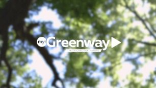 Greenway восстанавливает леса