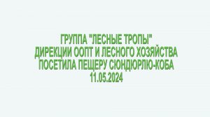 11.05.2024. Лесные тропы на пути к пещере Сюндюрлю-Коба