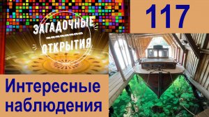 Интересные наблюдения. Полезно для выживания. З/О_117.