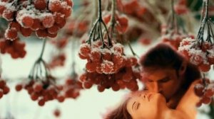 Сорваны все ягоды. Убран сад и пуст. Закатились яблоки .Под рябины куст.