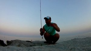 Рыбалка на чёрном море. Джиг. Пять видов рЫб.