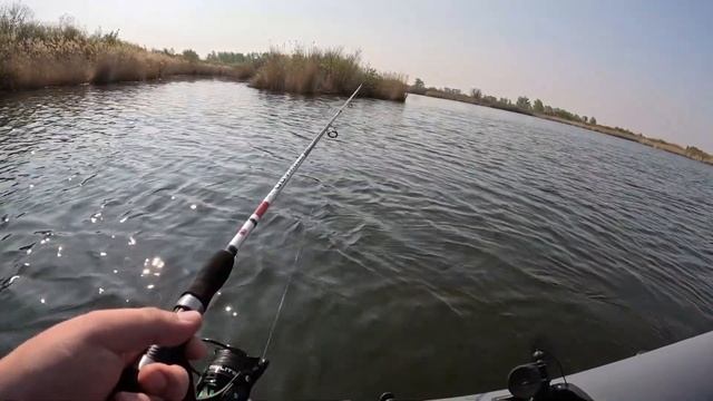 Первая щука летнего сезона 2023. Ловля щуки после нереста. смотреть онлайн