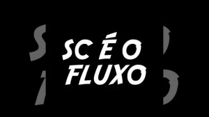 MEGA FUNK SC É O FLUXO