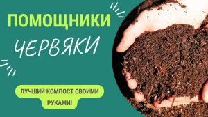 Черви помогут вырастить большой и здоровый урожай!