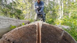 Стройка проходной избы "девятка" на промысловом путике