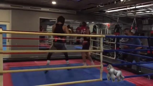 Shokran Parwani - Sparring 10 rounds смотреть онлайн