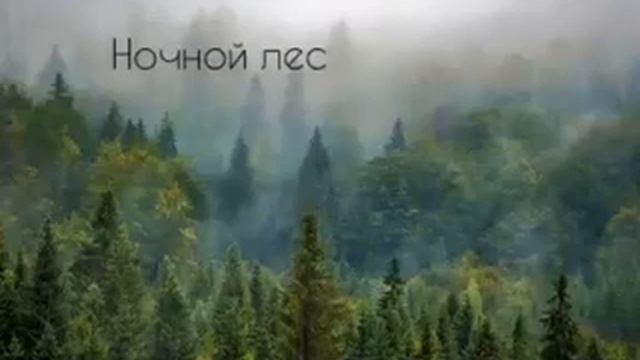 Ночной лес, звук для сна смотреть онлайн