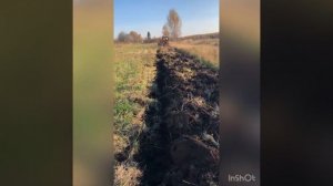 ПЕРВАЯ ОСЕНЯЯ ПАХОТА ЦЕЛИНЫ 2021 ВВОД ЗАЛЕЖНЫХ ЗЕМЕЛЬ ТРАКТОР ДТ 75 НАСТРОЙКА ПЛУГА