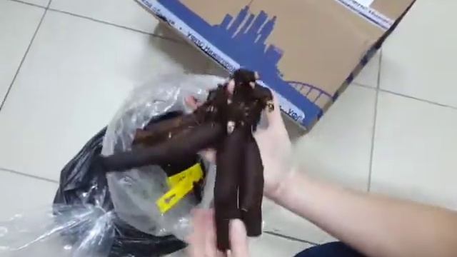 Распаковка посылки с пионами  осень'20 от Юрия Лукоянова.  Долгожданные слонята! ;)