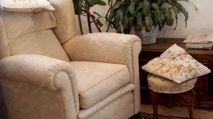 WORX WX030 20V STØVSUGER   DA