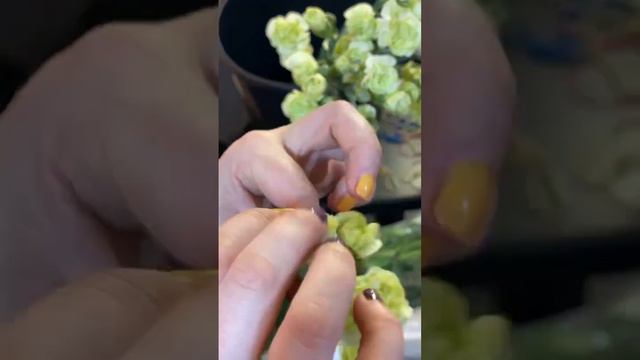 Гвоздика, Кара Фиат, диантус. Как работать с цветком #школафлористики #флористикадляначинающих