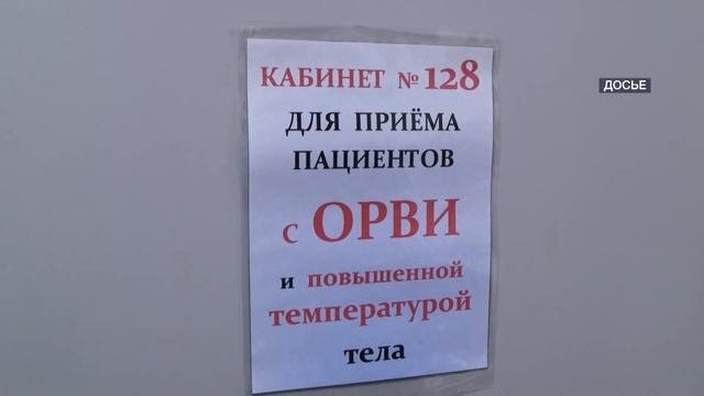 Социальный фонд России обновил статистику выплат белгородцам