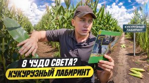 КУКУРУЗНЫЙ ЛАБИРИНТ: 8 чудо-света открыли в сельском хозяйстве? #АГРОлица