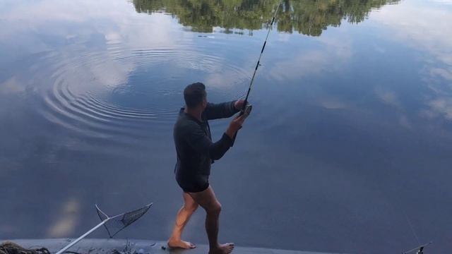 РЫБАЛКА на ДНЕСТРЕ сазанчик на макуху смотреть онлайн