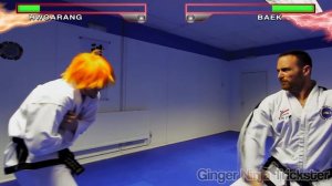 Real Life Tekken Fight | HWOARANG Vs BAEK | Flips & Kicks (Alternate Ending)