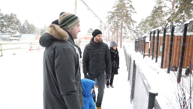 Dobrý den, medvědi смотреть онлайн