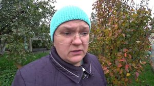 Обработка сада поздней осенью