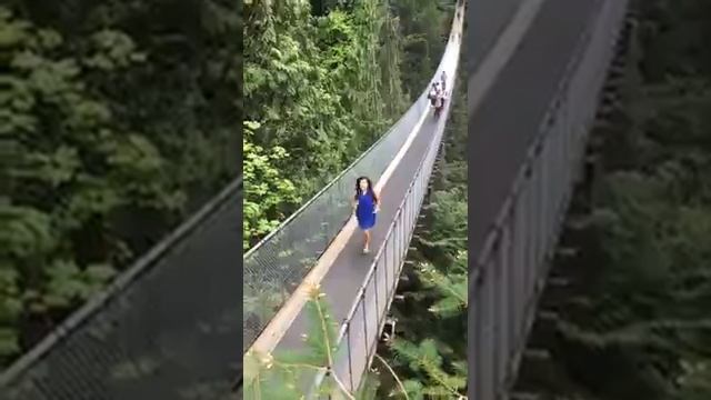 Vancouver, Canada:  Capilano Suspension Bridge