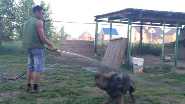 Рапа апорт и вода смотреть онлайн