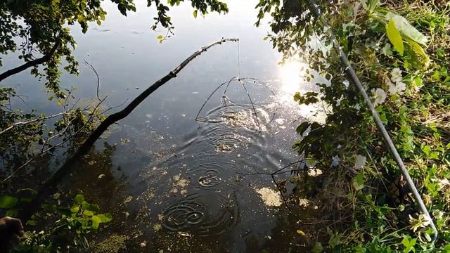 Ловля раков смотреть онлайн