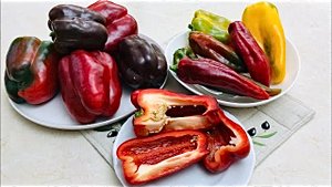 Сладкий перец на весах и в разрезе. Без комментария!