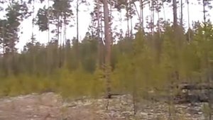Янгель октябрь2017