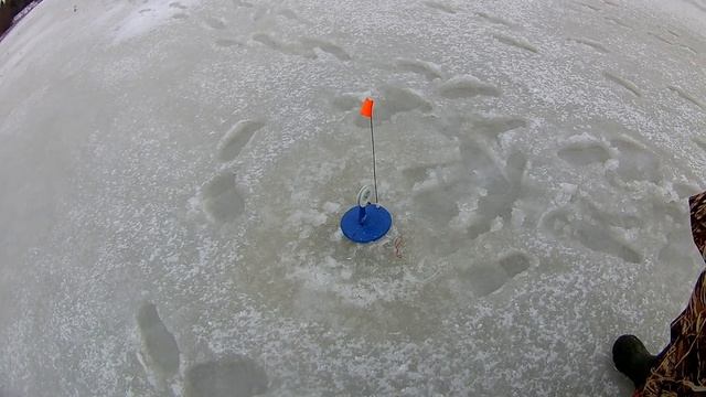 ЗИМНЯЯ РЫБАЛКА? НА ЖЕРЛИЦЫ. ЛОВЛЯ ЩУКИ НА ЖЕРЛИЦЫ В ГЛУХОЗИМЬЕ. смотреть онлайн