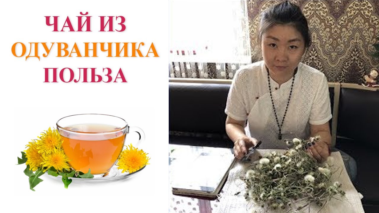 Чай из одуванчика | Полезные свойства чая из одуванчика