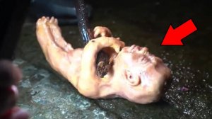 ЛЮДИ! Вы Просто Должны Увидеть Эти Страшные Видео